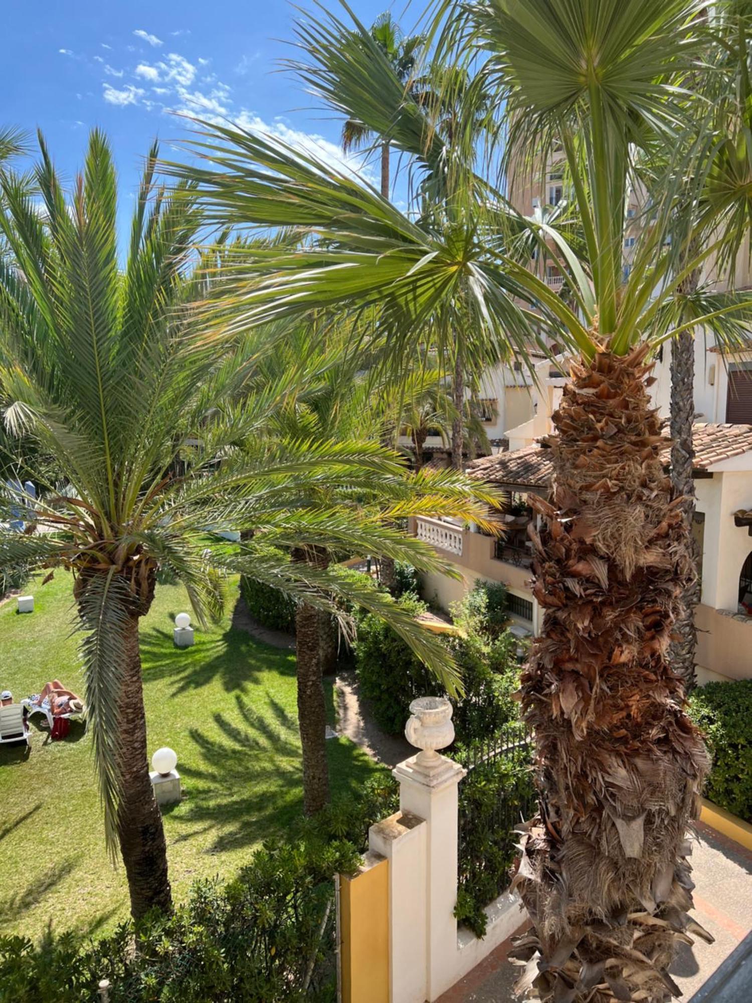 Casa Al Mare Aldea Apartment Торевиеха Екстериор снимка